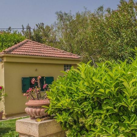 Sylvia'S Guest House Kavrokhorion Exterior photo